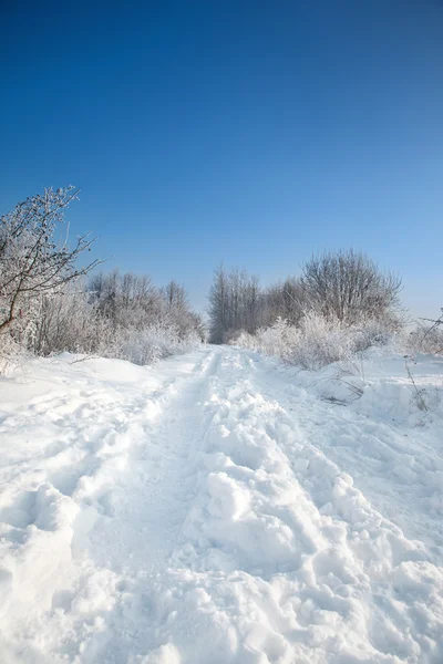 Winterweg — Stockfoto