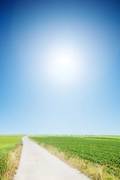 Country road with cloudless sunny sky — Stock Photo, Image