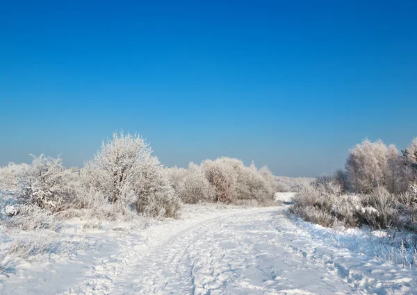 Vahşi kış manzarası — Stok fotoğraf