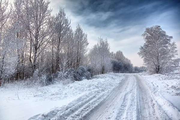 Route d'hiver — Photo