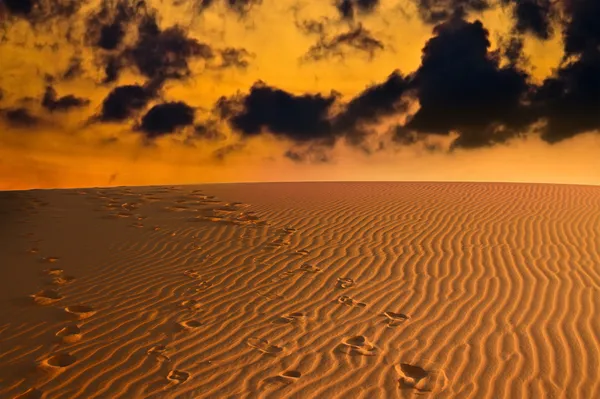 Abend über der Sahara-Wüste — Stockfoto