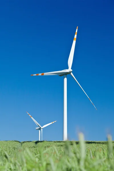 Wind turbines and blue sky from grass level — Stock Photo, Image