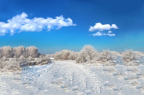 Дикие зимние пейзажи и кучевые облака — стоковое фото