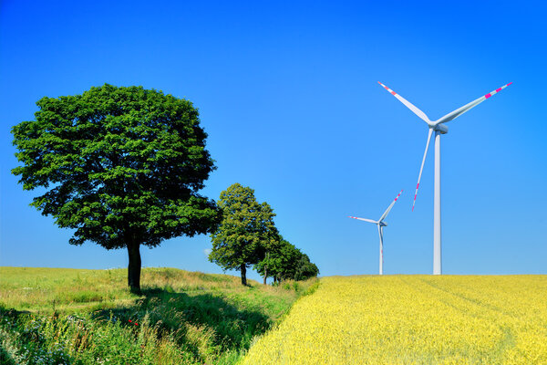 Wind turbines and trees