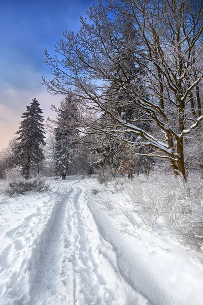 Paisajes de invierno — Foto de Stock