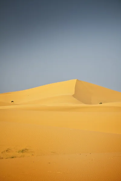 Poušť Sahara — Stock fotografie