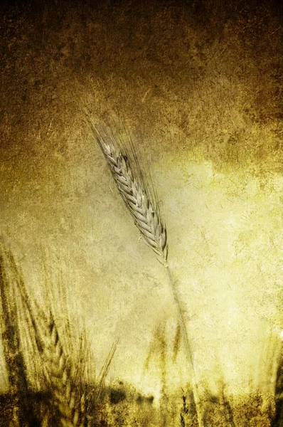 Grunge grain — Stock Photo, Image