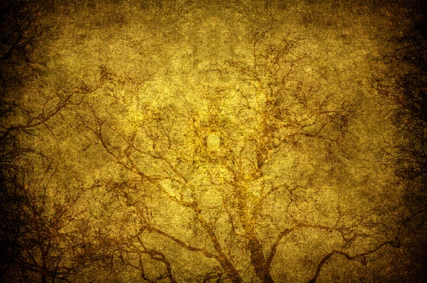 Гранжевое дерево — стоковое фото