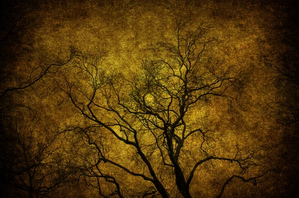 Grunge strom — Stock fotografie