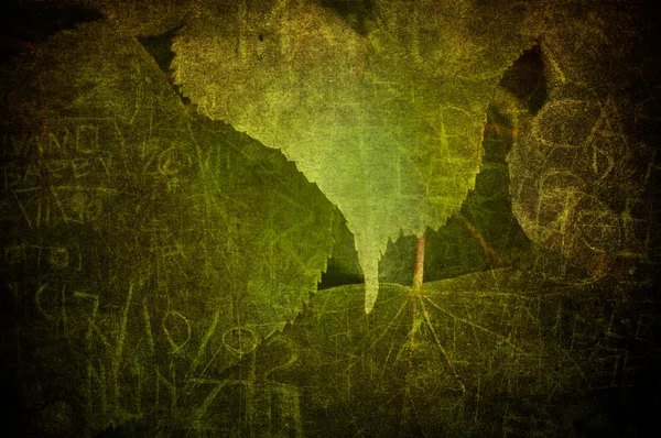 Grunge leaf — Stock Photo, Image