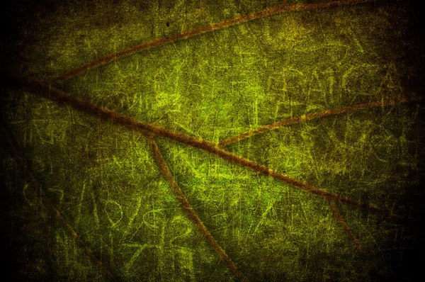 Grunge yaprak — Stok fotoğraf