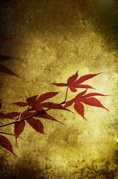 Grunge red leaf — Stock Photo, Image