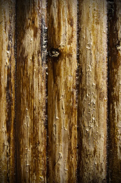 Texture du bois — Photo
