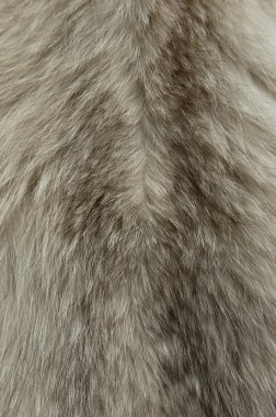 Fur texture clipart