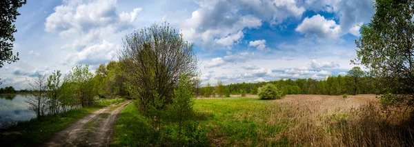 Panorama do campo — Fotografia de Stock