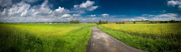 Grönt fält panorama — Stockfoto