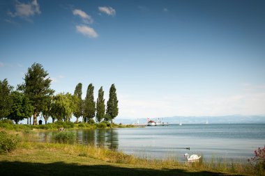 View over Lake of Constance clipart