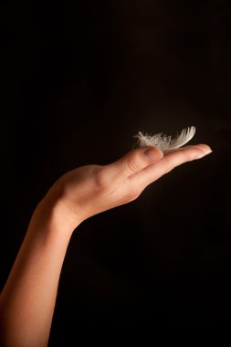 Feather on the hand of a woman clipart