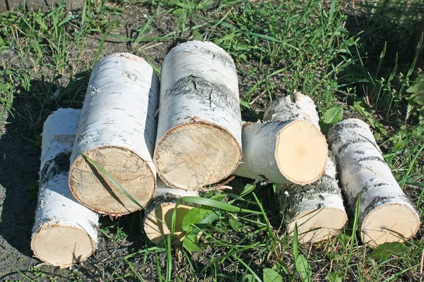 Sawn birch logs — Stock Photo, Image
