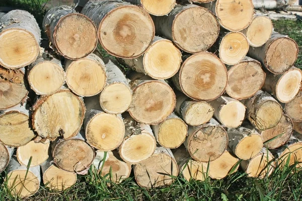 Stack of sawn birch timber — Stock Photo, Image