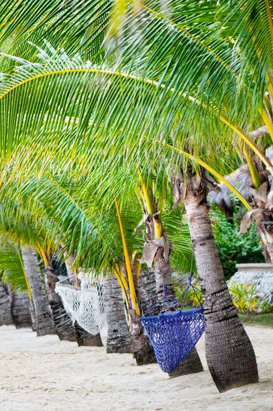 Playa tropical solitaria —  Fotos de Stock