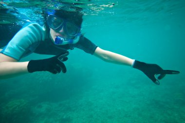 Scuba-diving clipart