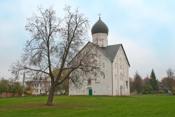 Kościół na zielonej łące — Zdjęcie stockowe