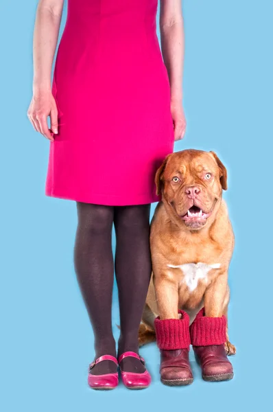 Dziewczynka i jej pies w fioletowe buty — Zdjęcie stockowe