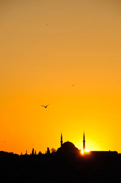 stock image Mosque Sikhouette