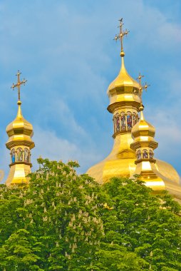 Orthodox Domes clipart