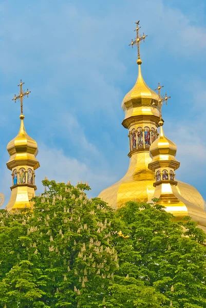 Ortodoks kubbeler — Stok fotoğraf