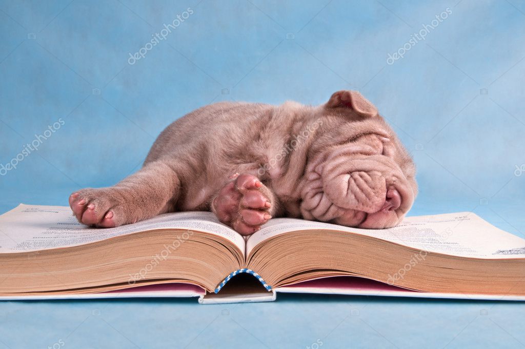 tiresome-studies-stock-photo-vitalytitov-3072833