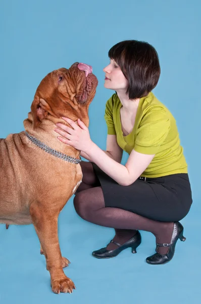 Girl with dogue de bordeaux on blue — Stock Photo, Image