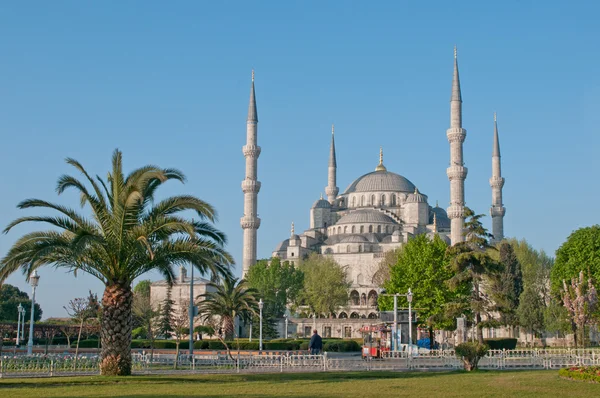 Блакитна мечеть — стокове фото