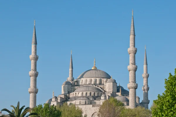 伊斯坦布尔蓝色清真寺的宣礼塔 — 图库照片