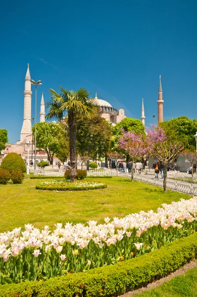 伊斯坦布尔的苏丹阿赫迈特清真寺 — 图库照片