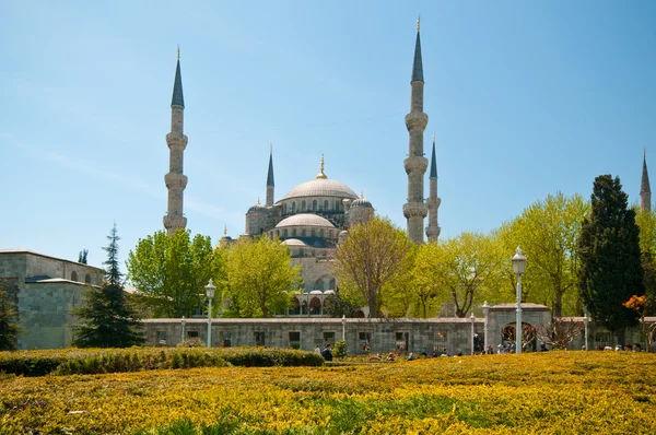 La Mezquita Azul — Foto de Stock