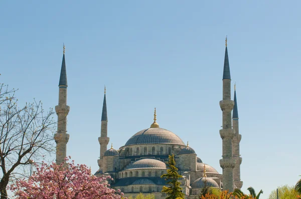 La Mezquita Azul — Foto de Stock