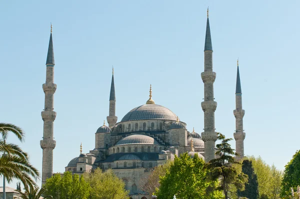 Die blaue Moschee — Stockfoto