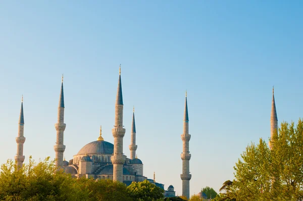 Die blaue Moschee — Stockfoto
