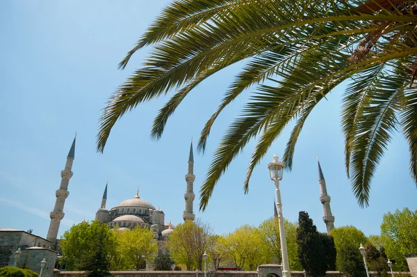 Мечеть Сулеймание — стоковое фото