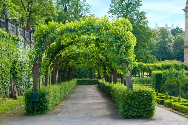 stock image Garden