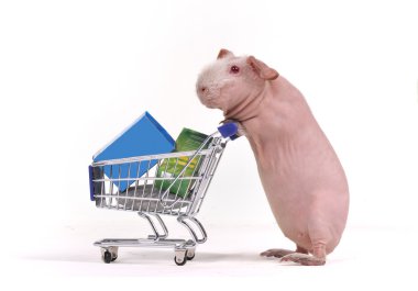 Funny Shopper clipart