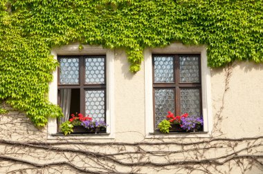 kırsal windows