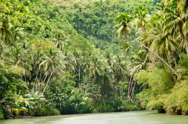 Tropical river — Stock Photo, Image