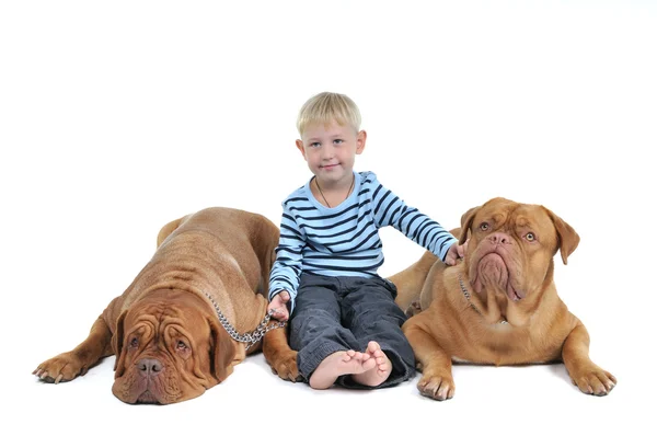 Boy with two dogs — Stock Photo, Image