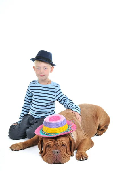 Chłopiec jest kochającym psem — Zdjęcie stockowe