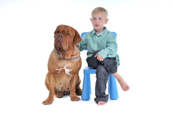 Chłopiec na krześle z psem — Zdjęcie stockowe