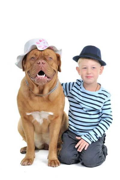 Boy with a female dog — Stock Photo, Image