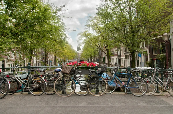 Biciclette ad Ansterdam — Foto Stock